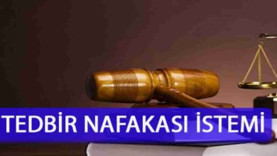 Tedbir nafakası ne kadar
