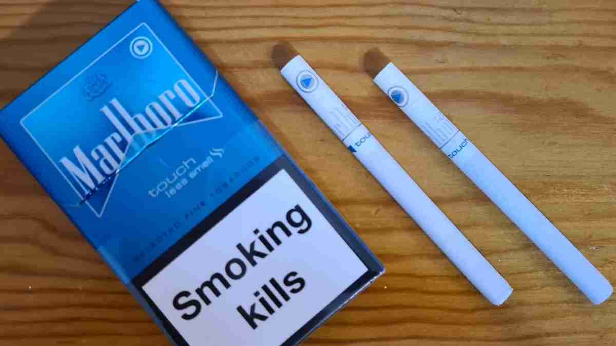 Marlboro 2024